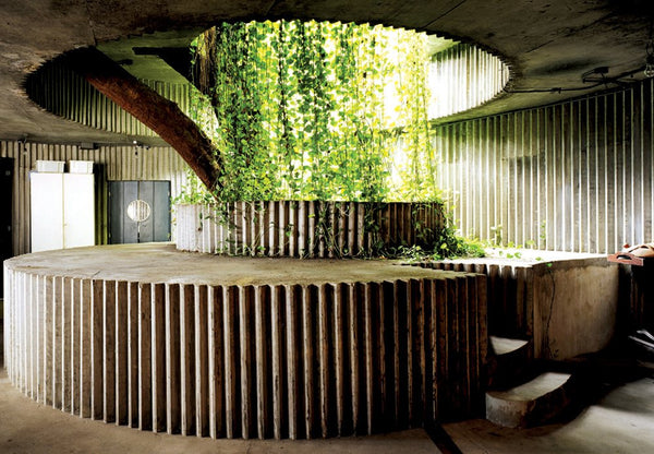 Natural sky light created at the Coaty Restaurant by architect and urbanist Joao Filgueiras. A stream of vegetation falls from the skylight into the subsequent concrete structure below. 