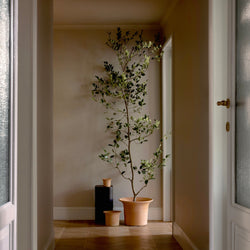 Origin Made | Tulipa Planters